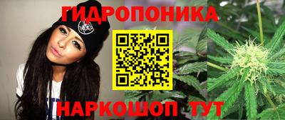 бутират Сланцы